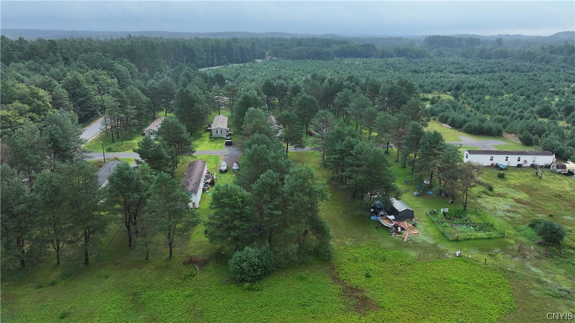 0 Dutch Hill Road Forestport, NY 13338 - Photo 18 of 18