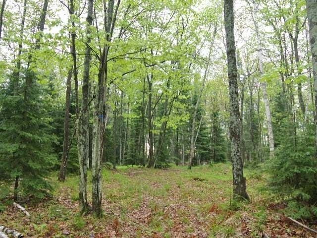 Lot 25 Garrett's Trail Rhinelander, WI 54501 - Photo 9 of 9 Gallery Image 9