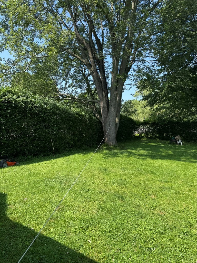 3 Springbrook Drive Chili, NY 14514 - Photo 8 of 36