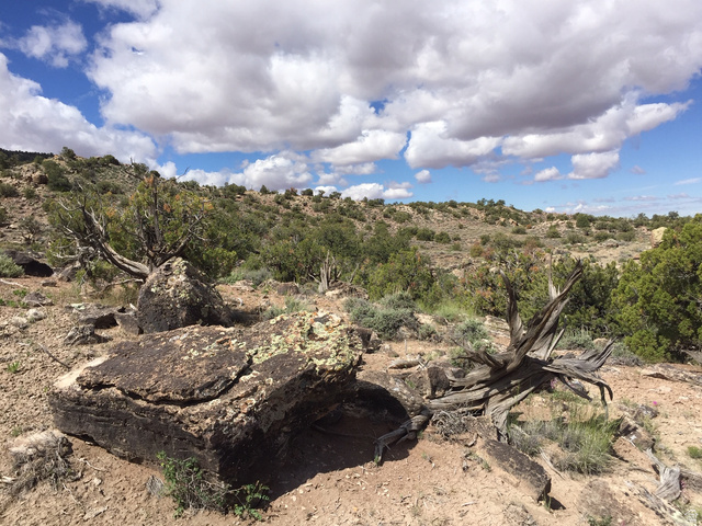 27 West Kane Canyon Dr Ridge, Unit 20 Moab, UT 84532 - Photo 11 of 19 View of local wilderness