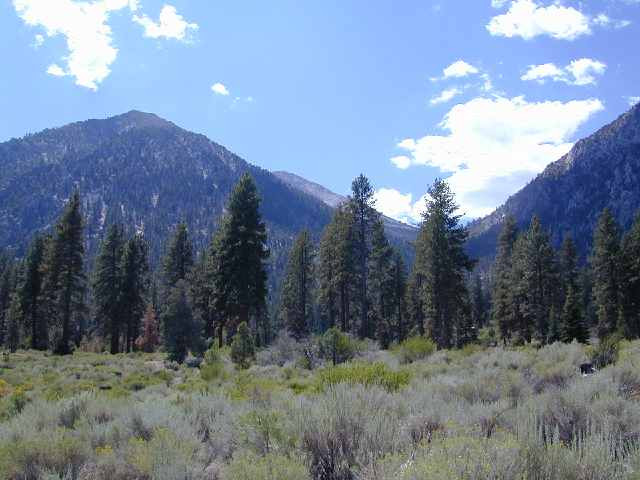 402 Job's Peak Ranch Gardnerville, NV 89460 - Photo 1 of 1 Photo 1