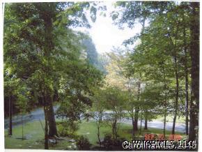375 Riddle Cove Road Maggie Valley, NC 28751 - Photo 9 of 10