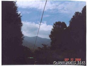 375 Riddle Cove Road Maggie Valley, NC 28751 - Photo 10 of 10 a picture of a tree