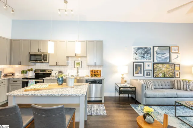 $2,895 | 212 East Broad Street, Unit COTTON, Greenville, SC 29601