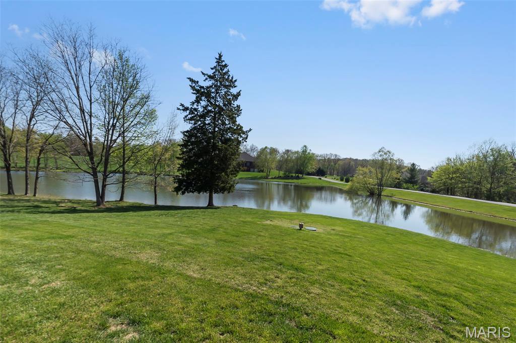 124 Quarterback Ridge Jackson, MO 63755 - Photo 60 of 71