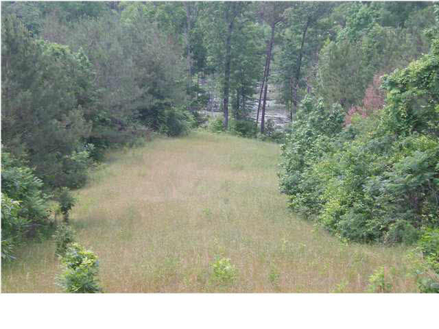 2 Beaverdam Road Camden, MS 39045 - Photo 1 of 7 Photo 1