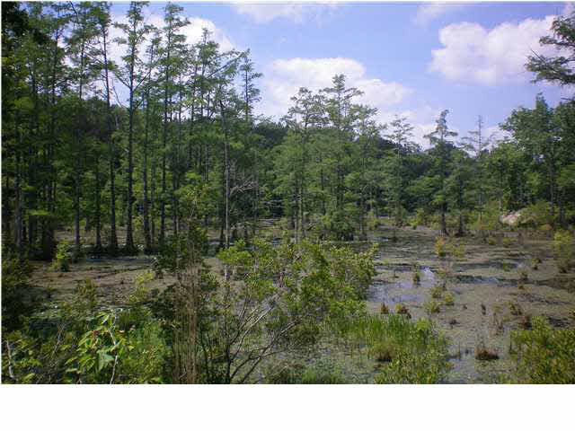 2 Beaverdam Road Camden, MS 39045 - Photo 4 of 7 Photo 4