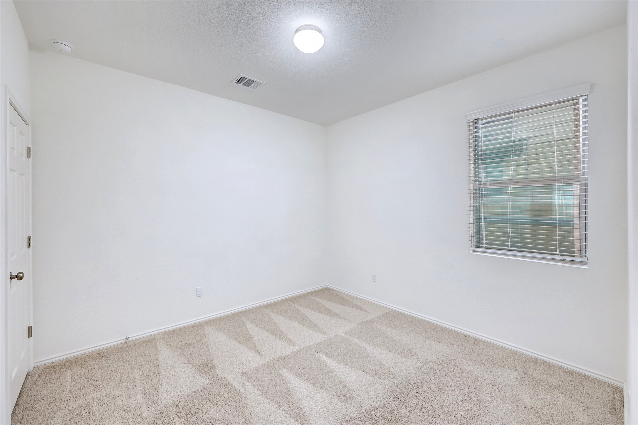 307 Simmental Loop Hutto, TX 78634 - Photo 23 of 34 A well-lit bedroom with fresh carpeting and a large window offering natural light.