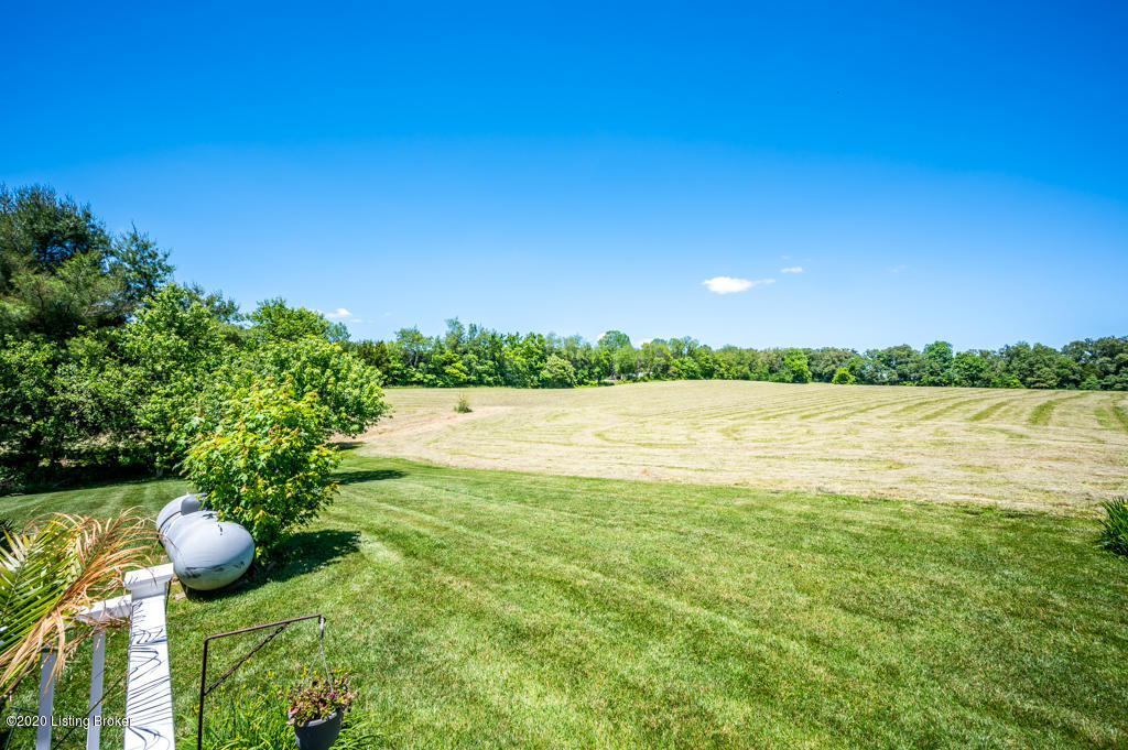 510 Walnut Grove Road Ekron, KY 40117 - Photo 67 of 79 DN0_9359