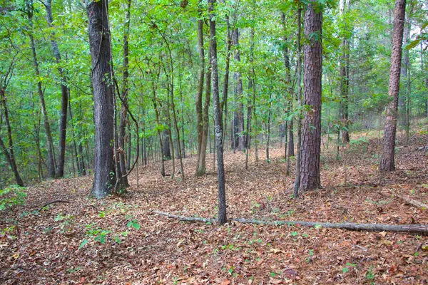 $119,250 | 914 Park Swain Road, Grand Junction, TN 38039