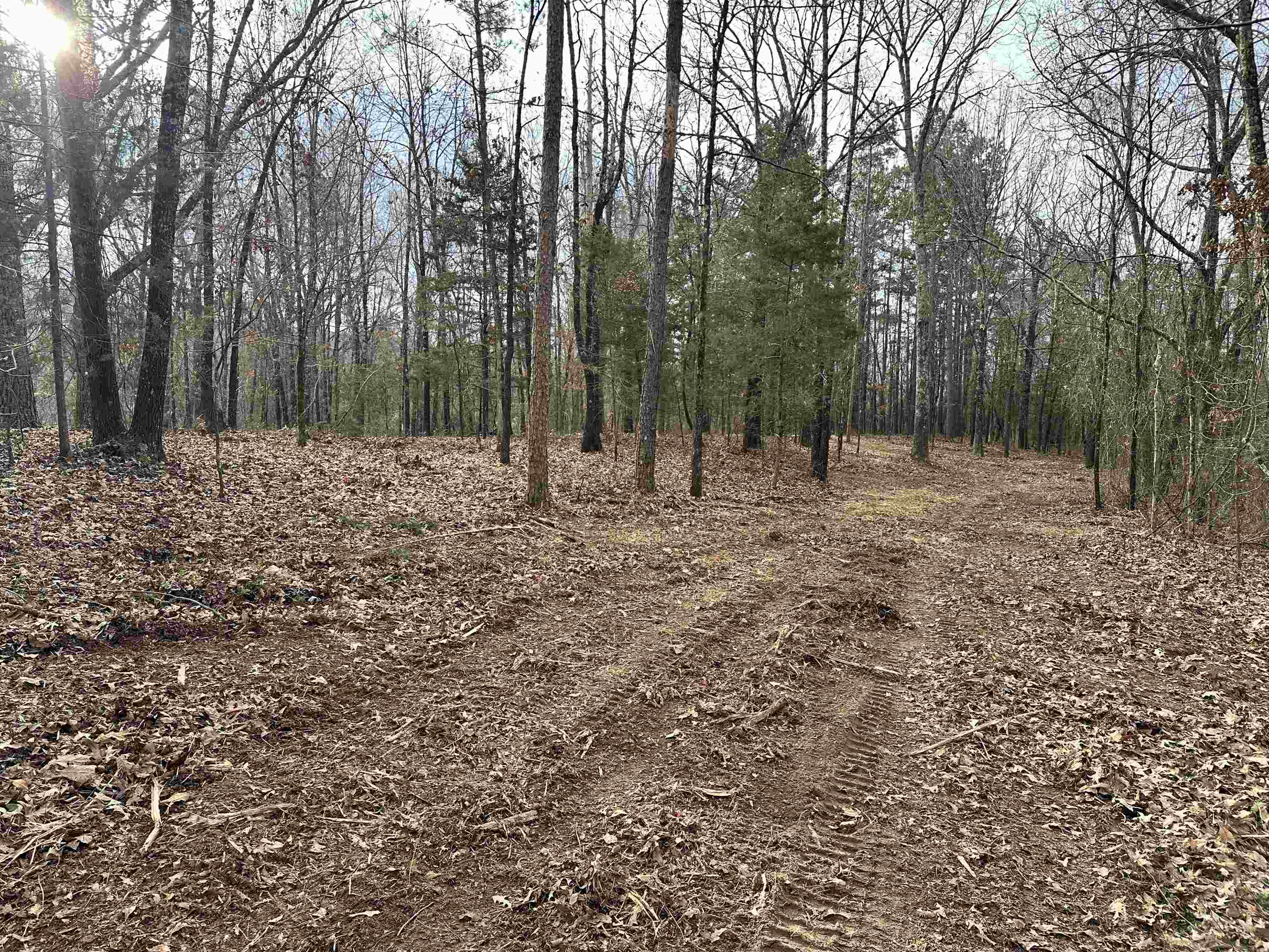 914 Park Swain Road Grand Junction, TN 38039 - Photo 2 of 18 a fire hydrant in the middle of a yard