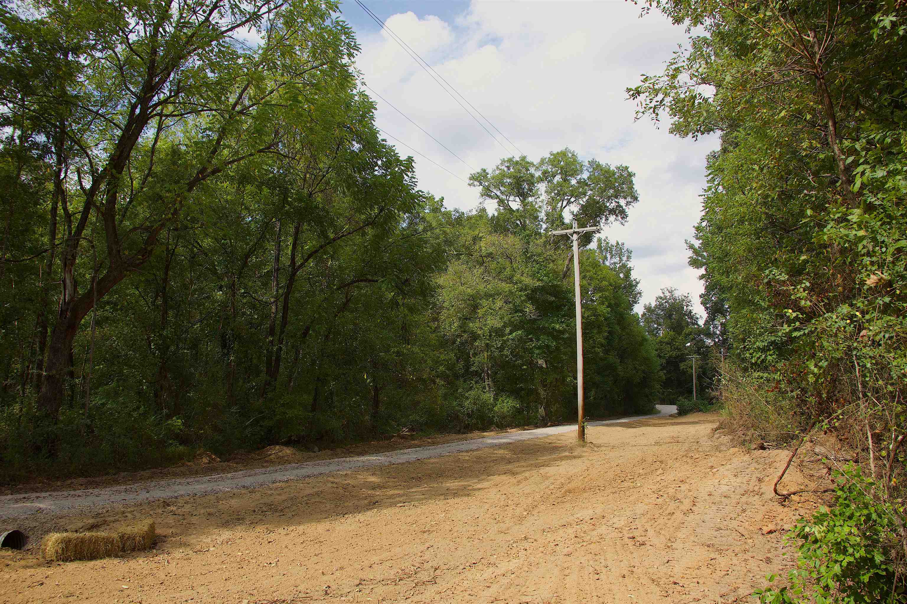 914 Park Swain Road Grand Junction, TN 38039 - Photo 4 of 18 View of dirt / gravel road with a view of trees