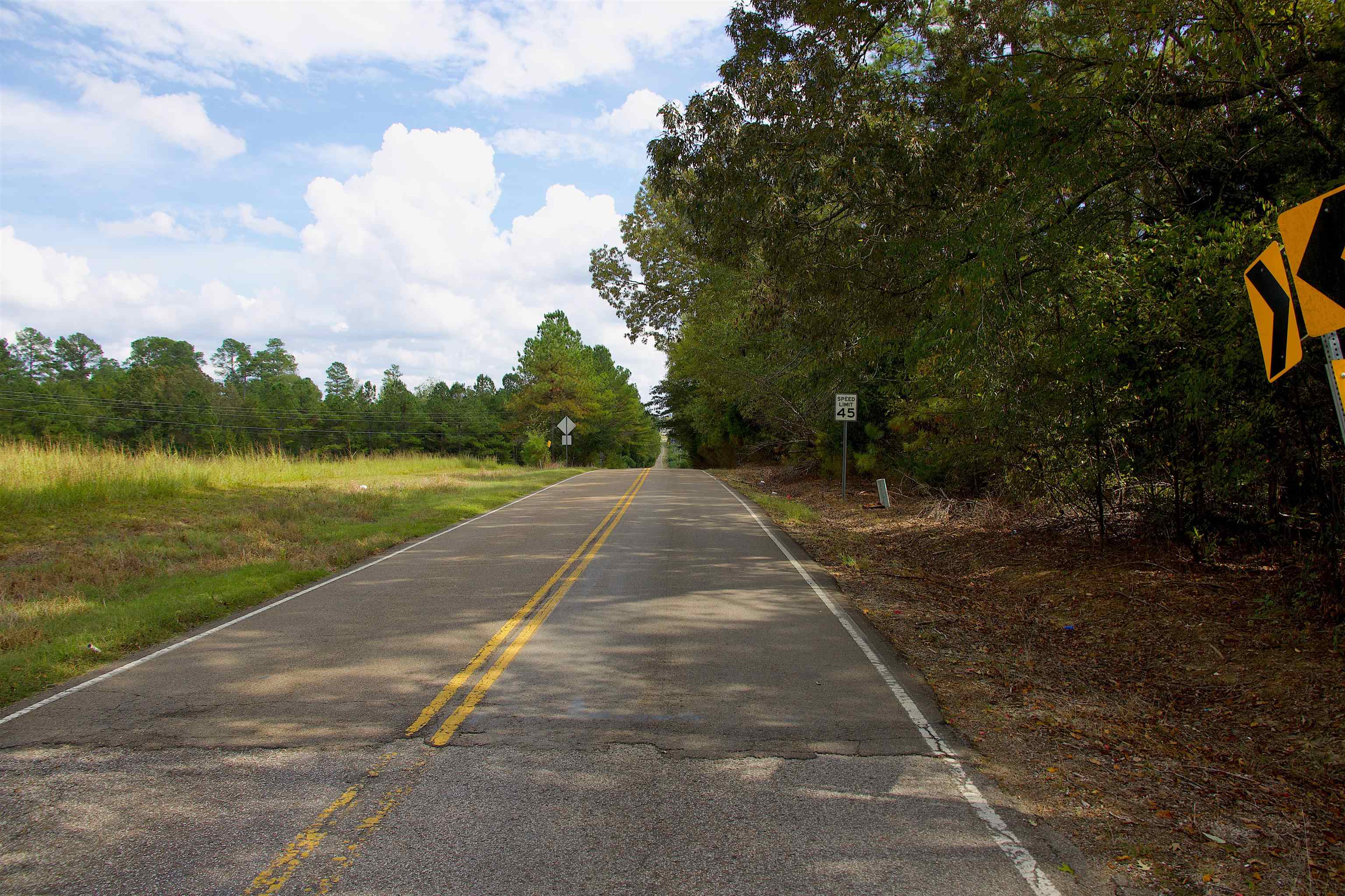 914 Park Swain Road Grand Junction, TN 38039 - Photo 5 of 16 a view of a street with a yard and a large tree
