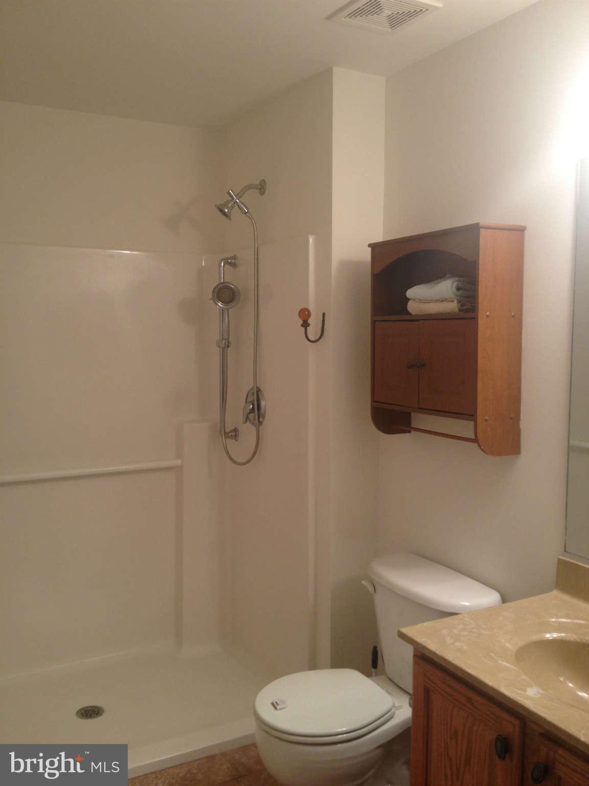13438 Granview Road King George, VA 22485 - Photo 11 of 30 Main Level Bathroom