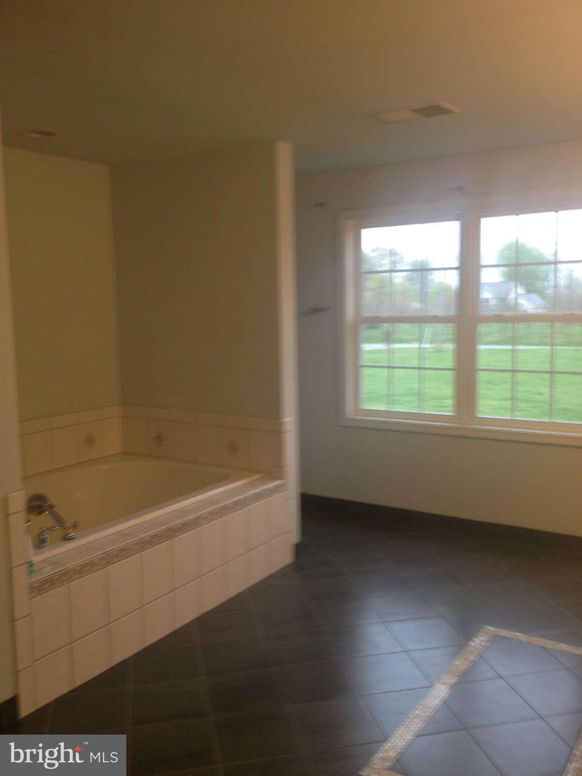 13438 Granview Road King George, VA 22485 - Photo 17 of 30 Bath (Master)