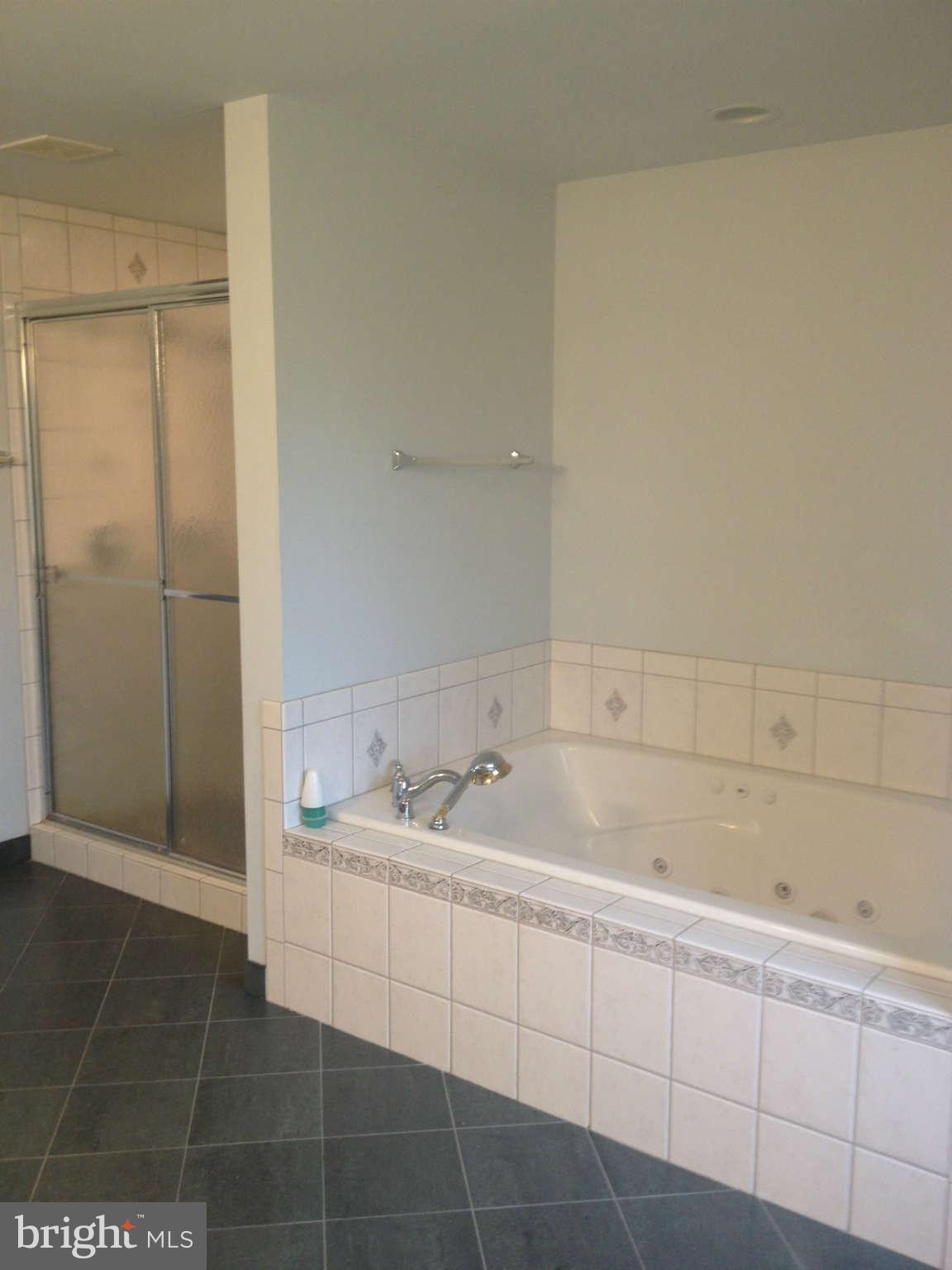 13438 Granview Road King George, VA 22485 - Photo 18 of 30 Bath (Master)