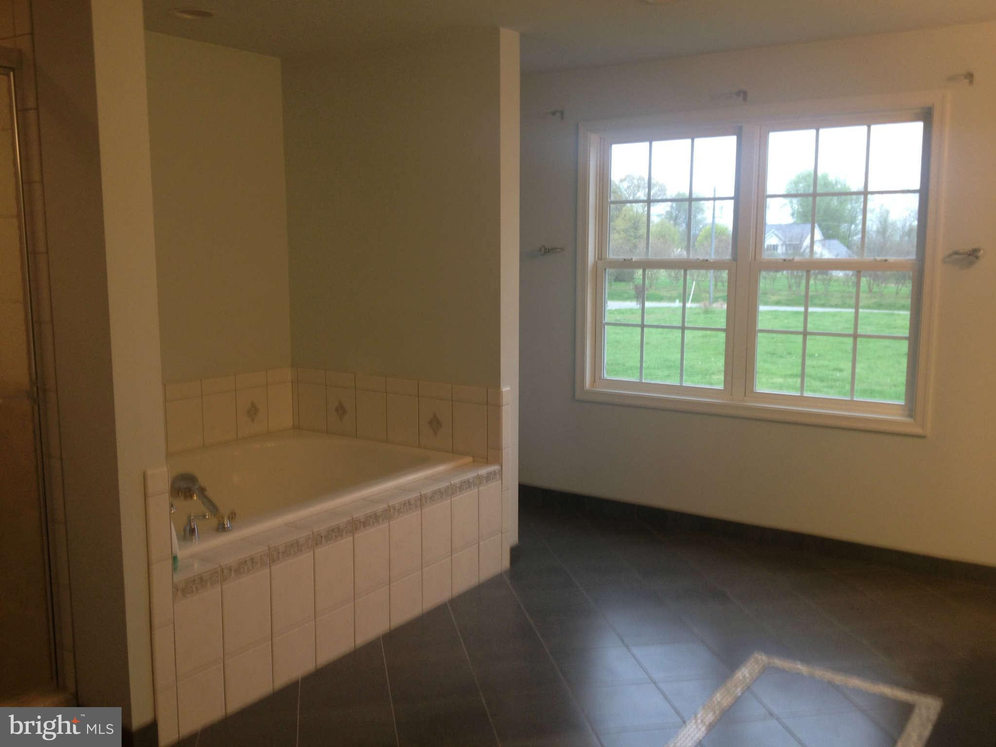 13438 Granview Road King George, VA 22485 - Photo 19 of 30 Bath (Master)