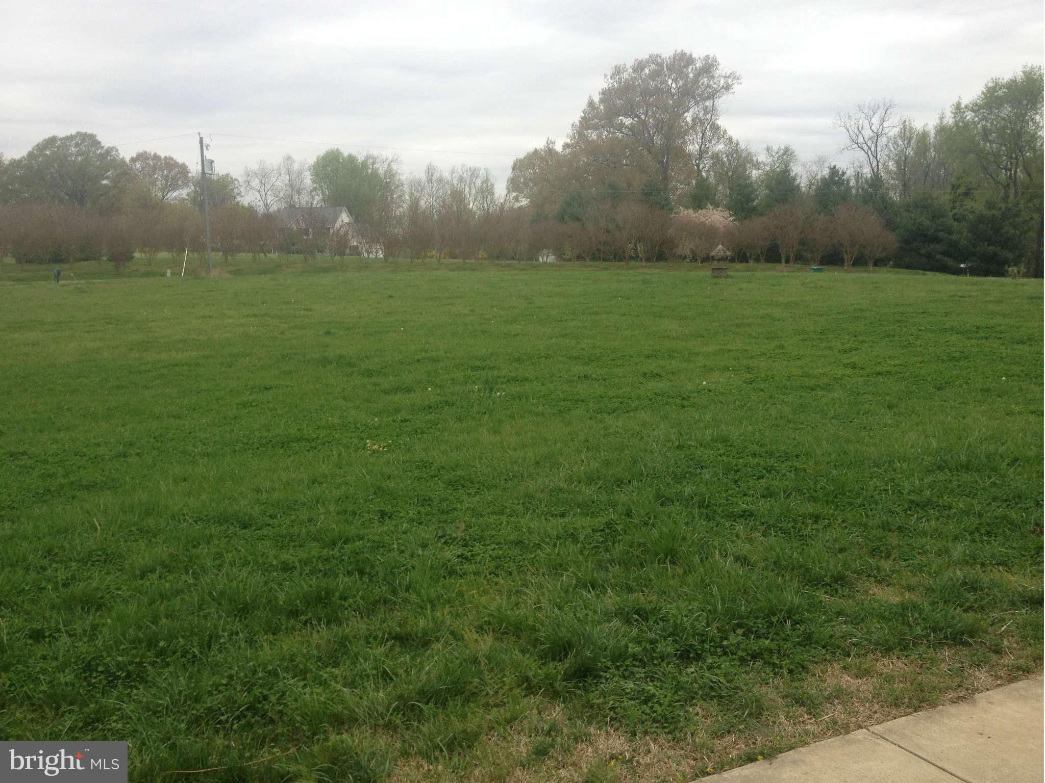 13438 Granview Road King George, VA 22485 - Photo 26 of 30 View of backyard from back of house