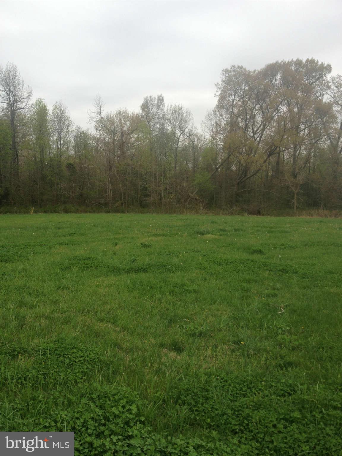13438 Granview Road King George, VA 22485 - Photo 28 of 30 View