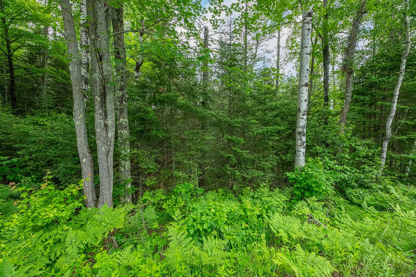 Three Lehman Road Three Lakes, WI 54562 - Photo 16 of 18 Gallery Image 16