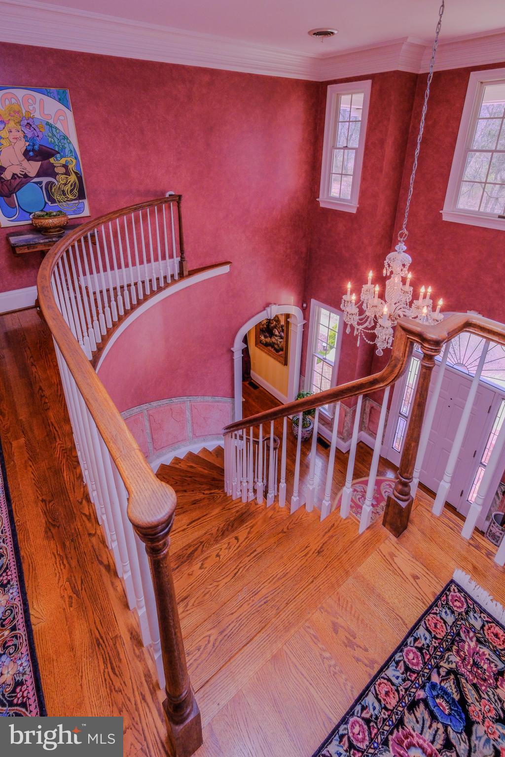 300 Locust Dale Road Front Royal, VA 22630 - Photo 44 of 99 The entire foyer was hand painted!
