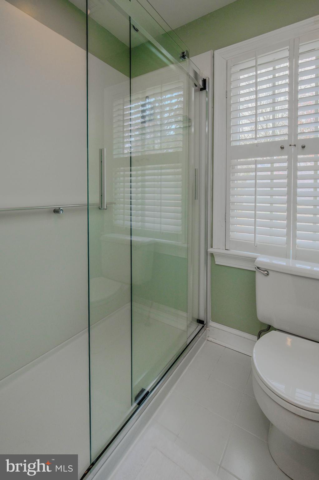 300 Locust Dale Road Front Royal, VA 22630 - Photo 56 of 99 Love the barn door shower door feature!