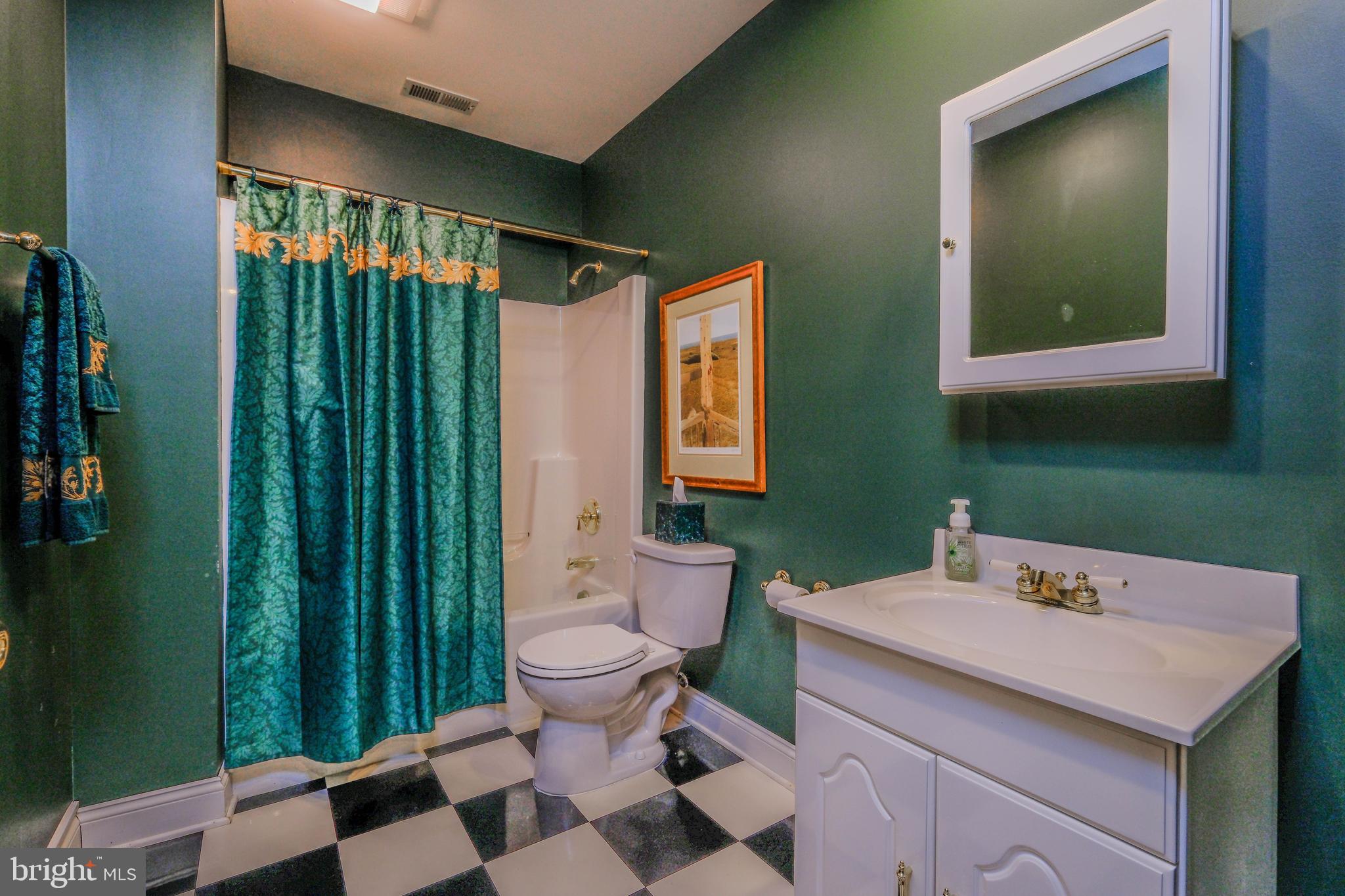 300 Locust Dale Road Front Royal, VA 22630 - Photo 70 of 99 Lower level full bathroom
