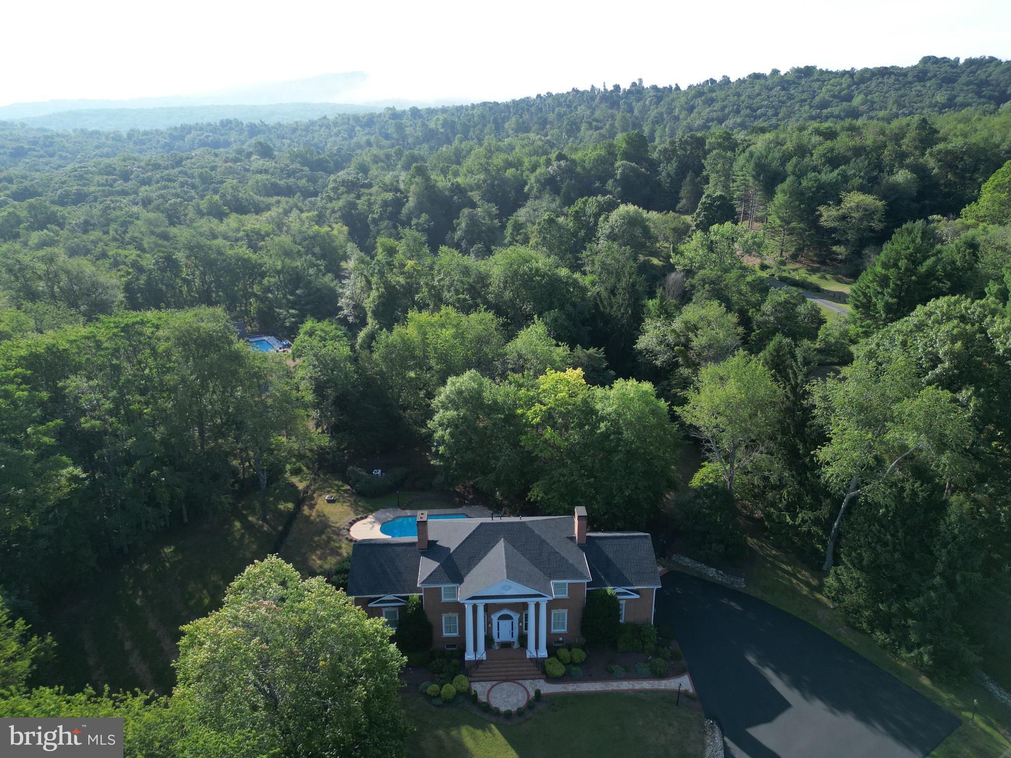 300 Locust Dale Road Front Royal, VA 22630 - Photo 78 of 99 Great amount of privacy!