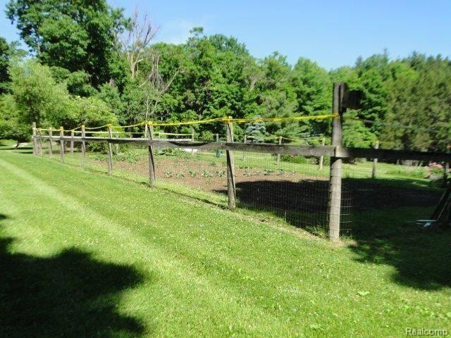 3646 Slattery Road Attica, MI 48412 - Photo 29 of 30 Yard 4
