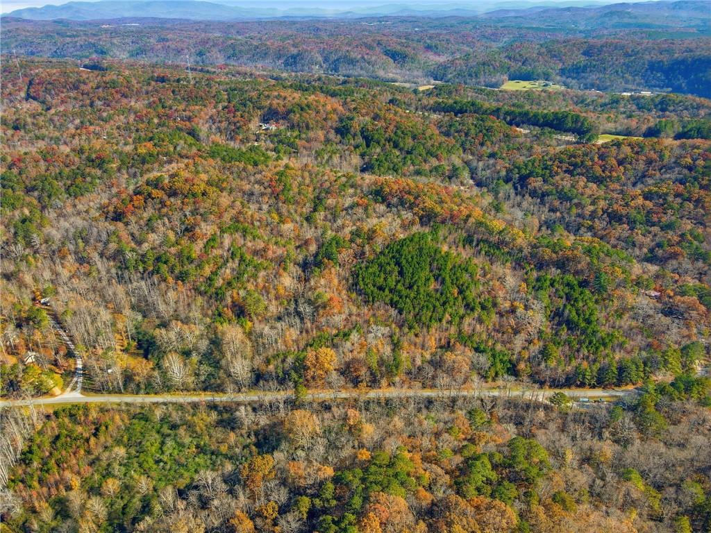 38-ac Whitestone Road Talking Rock, GA 30175 - Photo 3 of 9