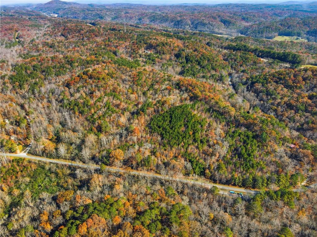 38-ac Whitestone Road Talking Rock, GA 30175 - Photo 4 of 9