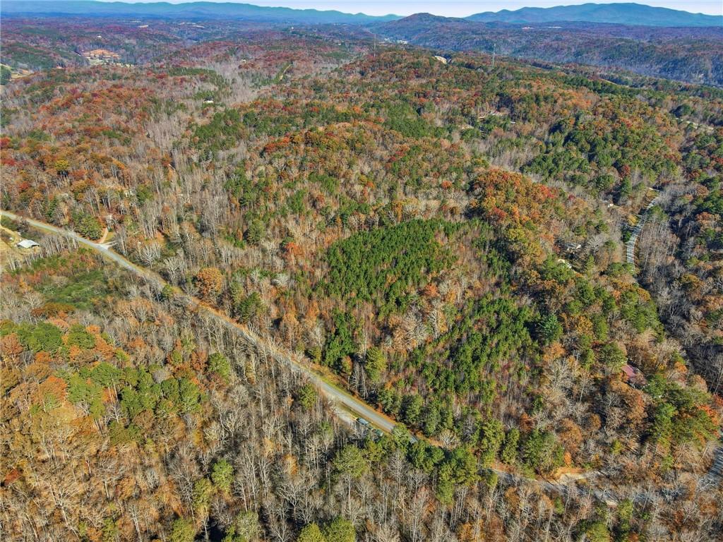 38-ac Whitestone Road Talking Rock, GA 30175 - Photo 8 of 9