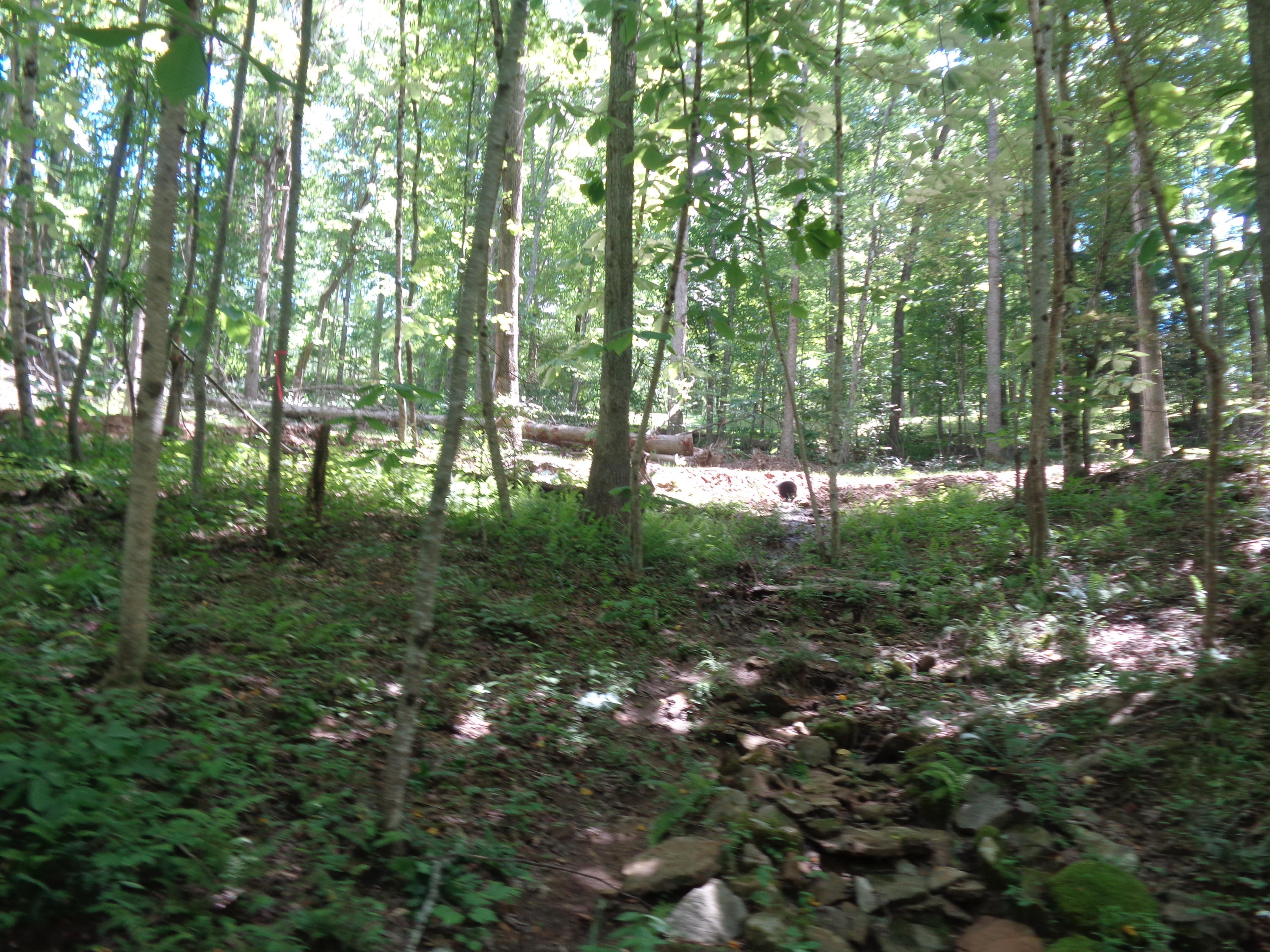 Lot 53 Fount Hubbard Road London, KY 40741 - Photo 10 of 18 DSC04854