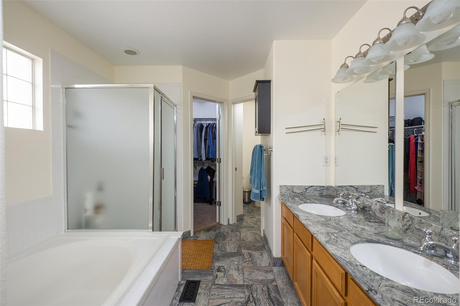9547 High Cliffe Street Highlands Ranch, CO 80129 - Photo 13 of 26 Gallery Image 13