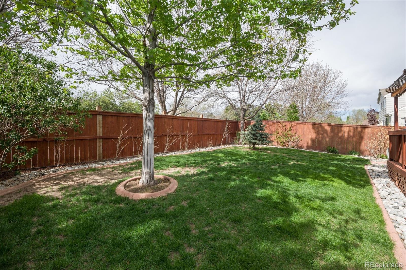 9547 High Cliffe Street Highlands Ranch, CO 80129 - Photo 22 of 26 Gallery Image 22