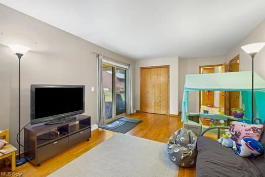 4618 South Arlington Road Uniontown, OH 44685 - Photo 17 of 31 Living room featuring light hardwood / wood-style floors