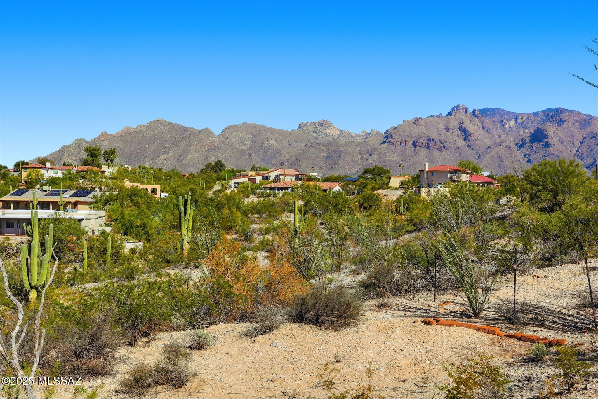 209 East River Road Tucson, AZ 85704 - Photo 2 of 49 Gallery Image 2