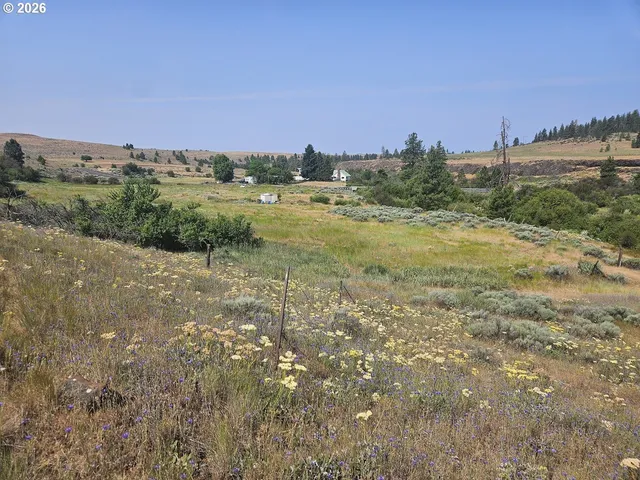a view of a field with an ocean