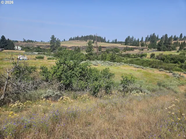 a view of lake with mountain