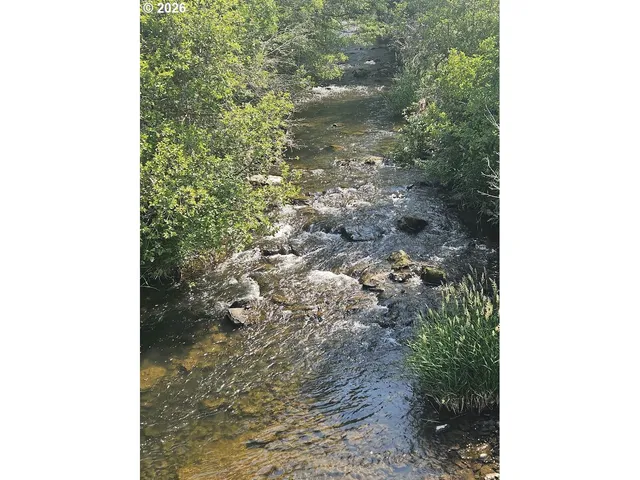 a view of a big yard with table and chairs