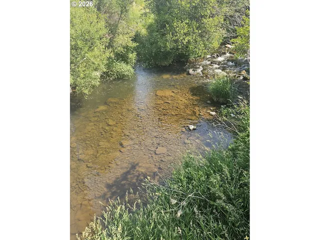 a view of a lake view