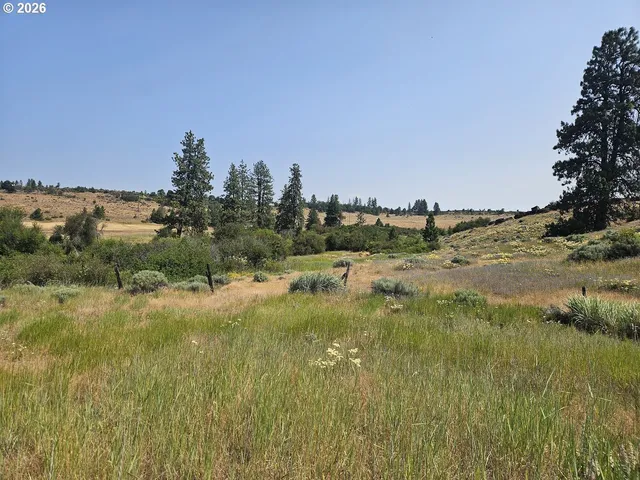 a view of a lake view