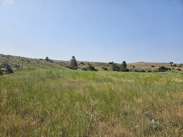 a view of a lake with a city