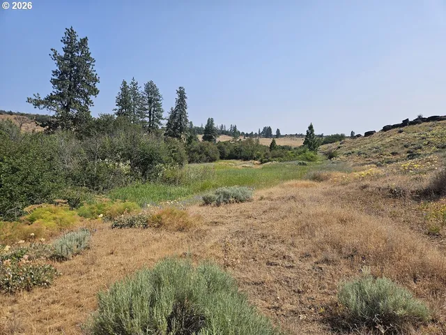 a view of a dirt road with trees in the background