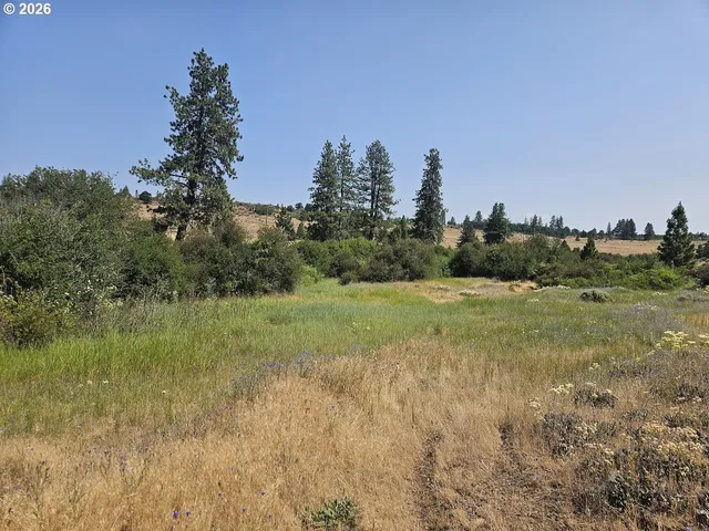 a view of a field with trees in background