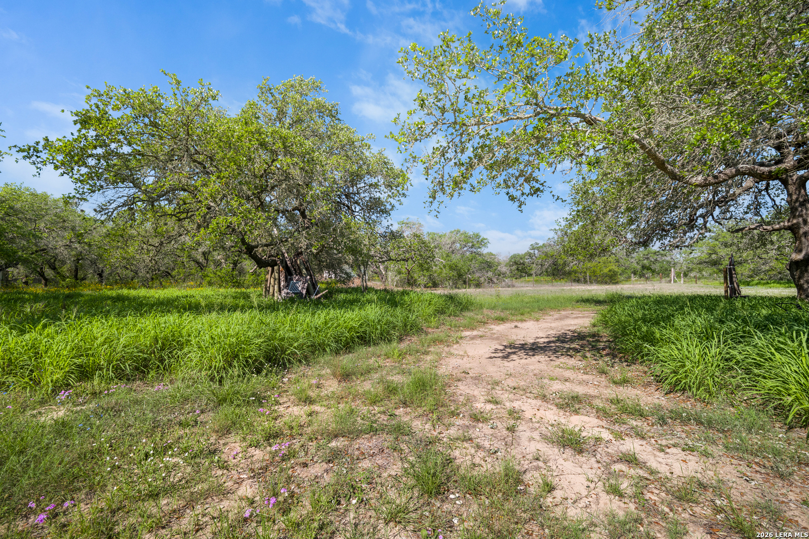 230 P R D65 Poteet, TX 78065 - Photo 9 of 29 a view of lake with green space