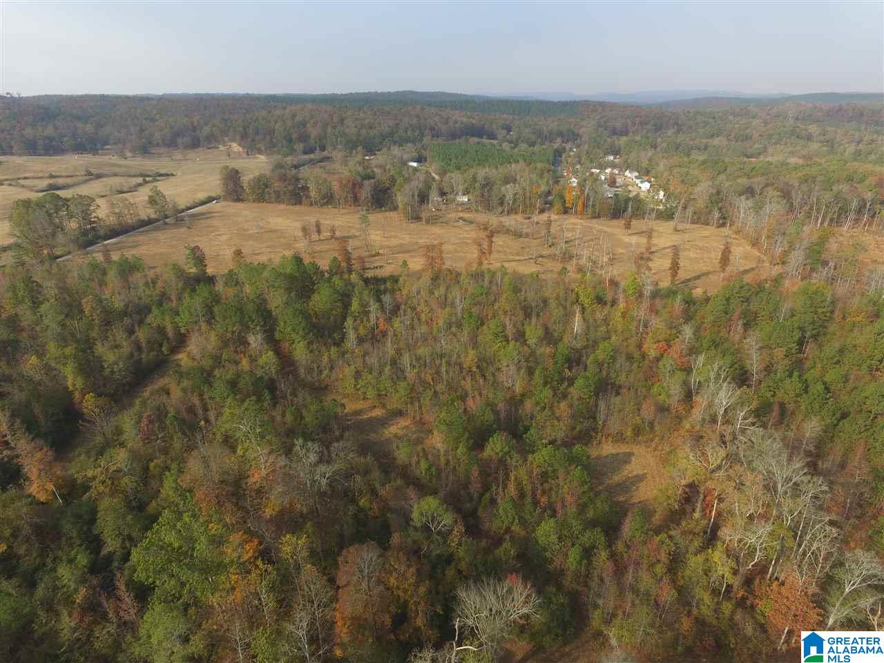 0 Wooden Trace Circle, Unit 30 Springville, AL 35146 - Photo 25 of 25