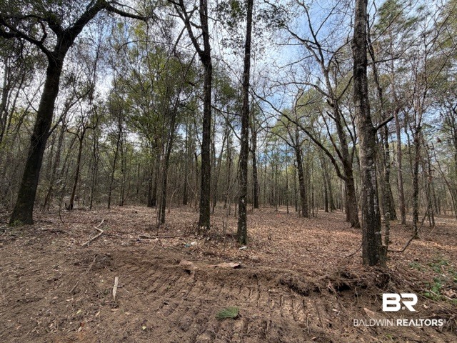 0 Danner Road East Wilmer, AL 36587 - Photo 24 of 34 Gallery Image 24