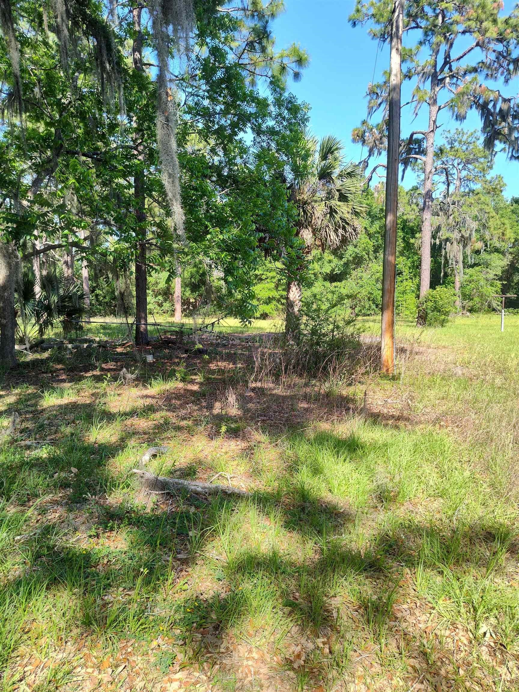 1618 Golf Course Road Perry, FL 32348 - Photo 13 of 16