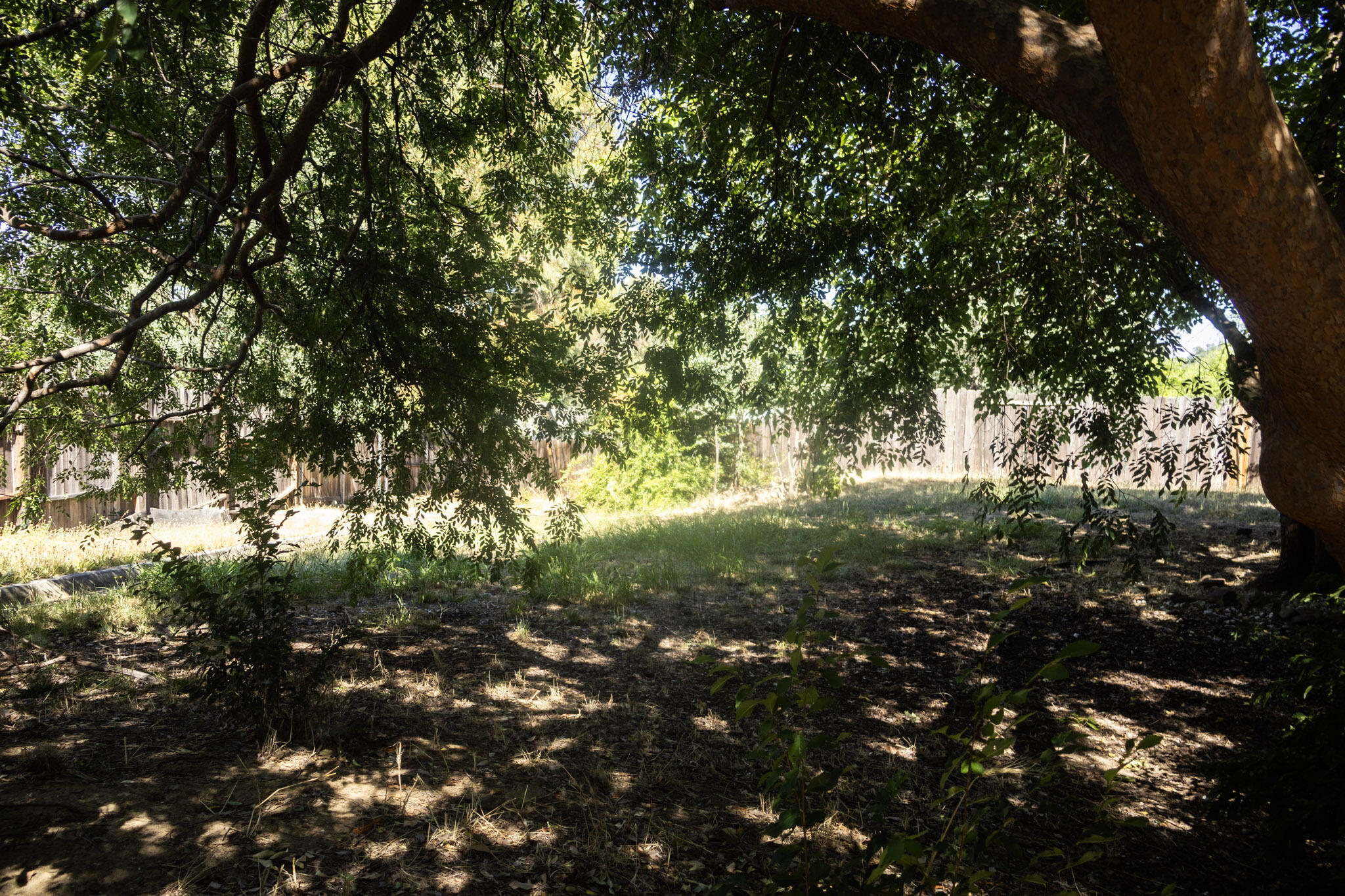 1026 Moss Creek Road Redding, CA 96003 - Photo 24 of 26 IMG_2285
